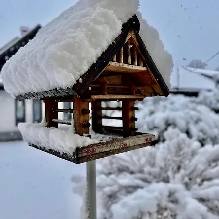 Hisa Naomi Sofia Daire Bled